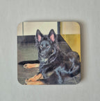 Coaster with a black and tan German Shepherd Dog