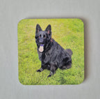 Coaster with a Black Female German Shepherd