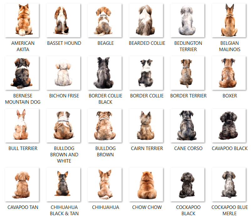 Rainbow Bridge Pet Loss Card