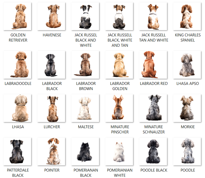 Rainbow Bridge Pet Loss Card