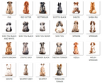 Rainbow Bridge Pet Loss Card