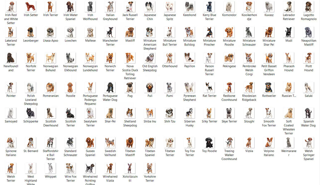 Dog Lover Birthday Card - Choose Your Breed