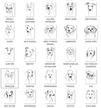 Pet Loss Sympathy Card - Personalised Dog Memorial