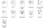 Pet Loss Sympathy Card - Personalised Dog Memorial