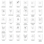 Pet Loss Sympathy Card - Personalised Cat Memorial