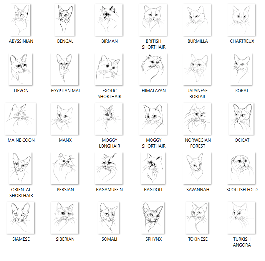 Pet Loss Sympathy Card - Personalised Cat Memorial