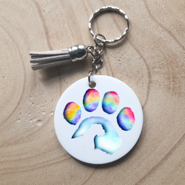 Rainbow Pet Key Chain